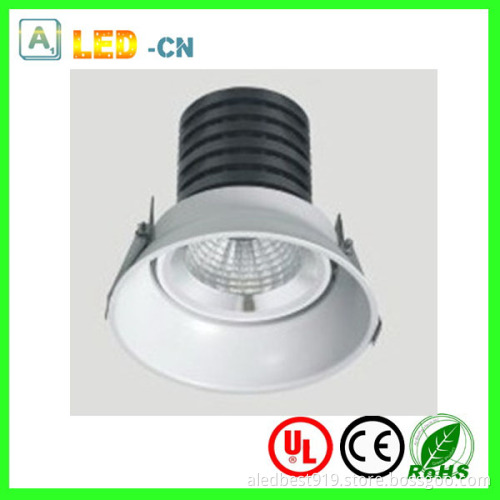 Super Beautiful Body 20W COB LED Ceiling Lamp